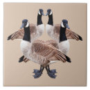 Suche nach gans fliesen Wild lebende tiere