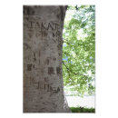 Suche nach baum kunst poster Grün