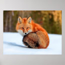 Suche nach yukon poster Superstock
