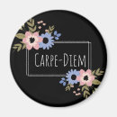 Suche nach dim magnete Karpfen