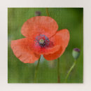 Suche nach mohn puzzle Natur