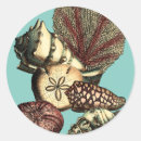 Suche nach rote koralle aufkleber Muschel