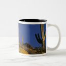 Suche nach pipe tassen Arizona