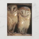 Suche nach ostafrika postkarten Umwelt