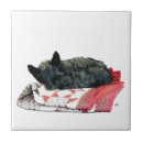 Suche nach kleiner hund fliesen Tiere