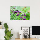 Suche nach glückliche blumen poster Insekt