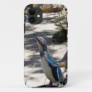 Suche nach penguin iphone hüllen Vogelvogel