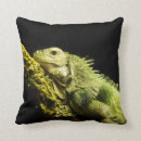 Suche nach leguane kissen Reptil