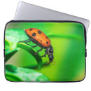 Suche nach marienkäfer laptop schutzhüllen Natur