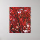 Suche nach ahornbaum leinwandbilder Bäume