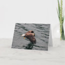 Suche nach heraus karten Natur