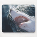 Suche nach weißer hai mousepads Tier