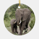 Suche nach afrikanische verzierung ornamente Elefant