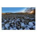 Suche nach region poster Frankreich