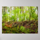 Suche nach washington state poster Superstock