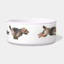Suche nach waliser haustier wohnen zuhause Terrier