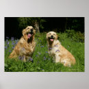 Suche nach pam kunst Sitting