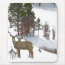 Suche nach zusätze mousepads Fotografie