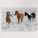 Suche nach isländisch puzzle Ranch
