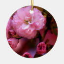 Suche nach sommerzeit ornamente Blume