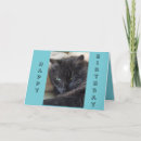 Suche nach black cat karten Niedliche katzen
