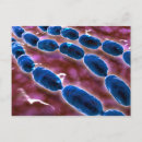 Suche nach entzündung poster Digital generiertes bild