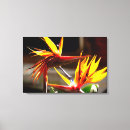 Suche nach flower leinwandbilder Landschaft