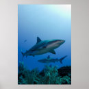Suche nach reina poster Blau