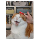 Suche nach tabelle klemmbrett Katze