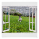 Suche nach russel poster Terrier