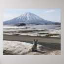Suche nach shiba inu welpe poster Hund