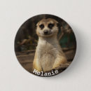 Suche nach meerkats buttons Mekka