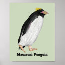 Suche nach kleiner pinguin poster Vogelvogel
