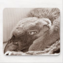Suche nach russische mousepads Russisches blau