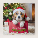 Suche nach beagles puzzle Hund