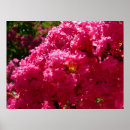 Suche nach crepe poster Natur