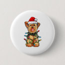 Suche nach yorkie buttons Welpe