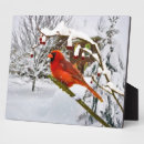 Suche nach schnee fotoplatten Natur