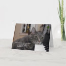 Suche nach berühmtheit karten Katze