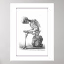 Suche nach skelett poster Schädel