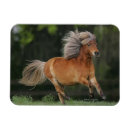 Suche nach miniatur magnete Bob langrish