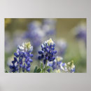 Suche nach reihe poster Mit blumen