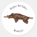 Suche nach schweine cartoon aufkleber Für kinder