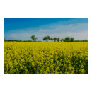 Suche nach gelber himmel poster Landwirtschaft