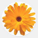 Suche nach aufkleber Blume