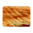 Suche nach fossil magnete Landschaft