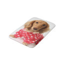 Suche nach dackel valentine Hund