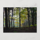 Suche nach mystische postkarten Wald