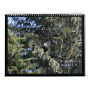 Suche nach adler kalender Tierwelt