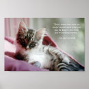 Suche nach kätzchen poster Zitat